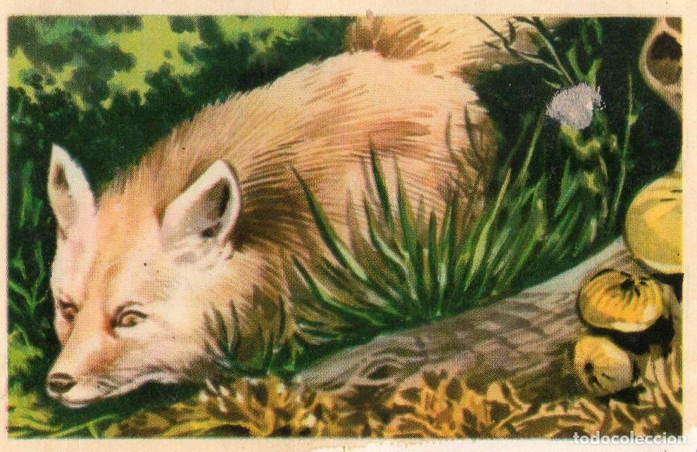 Postales: CROMO Viajando por America del Norte: Numero 17 - Varios