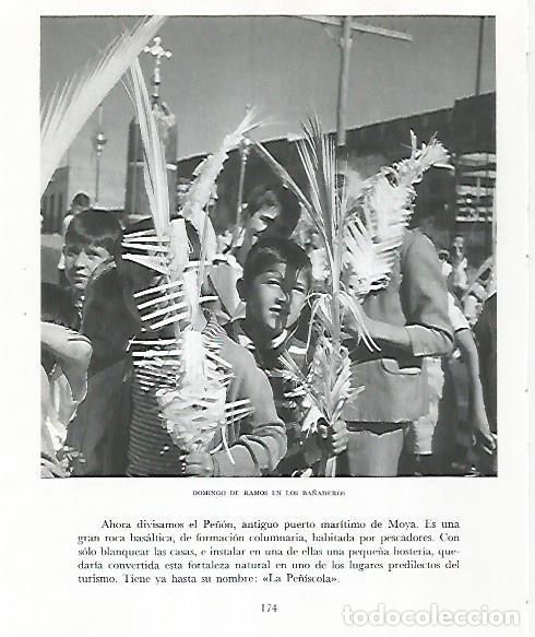 Postkarten: LAMINA 10270: Domingo de Ramos en los Ba&ntilde;aderos - Claudio de la Torre