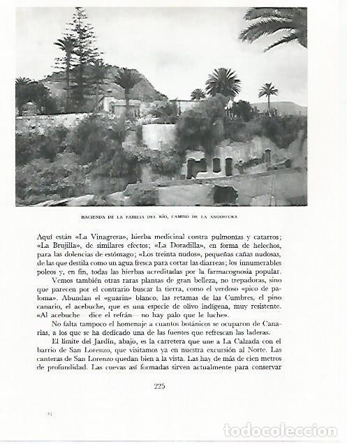 Postais: LAMINA 10295: Hacienda de la familia Rio camino de la Angostura - Claudio de la Torre
