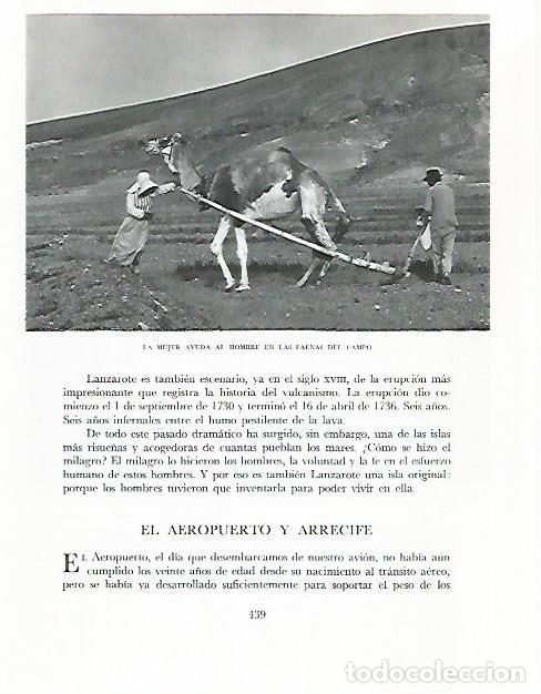 Postales: LAMINA 10380: Labrando con camello en Lanzarote - Claudio de la Torre