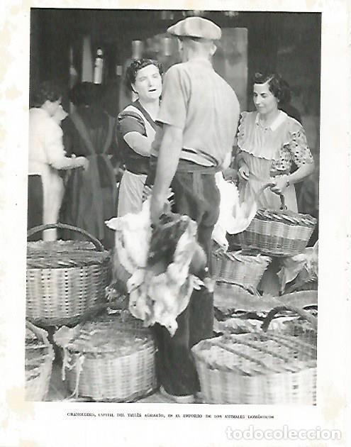 Postales: LAMINA 10481: Mercadillo en Granollers - Josep Pla