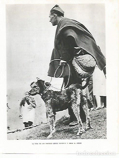 Postales: LAMINA 10512: Pastor catalan - Josep Pla