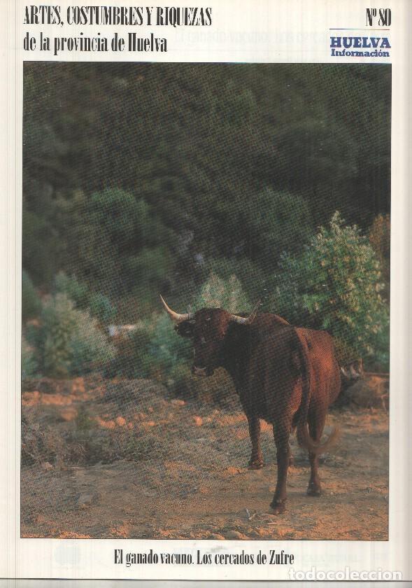Postales: Artes, Costumbres y Riquezas de la provincia de Huelva numero 80: El ganado vacuno. Los cercados de