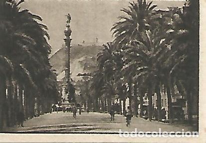 Postales: CROMO GALLINA BLANCA - 2o Album. Serie 91 Palmeras de Barcelona. No 3 - Varios