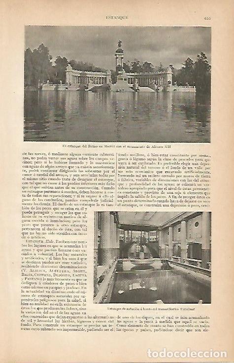 Cartoline: LAMINA ESPASA 7972: El estanque del Retiro Madrid - Varios