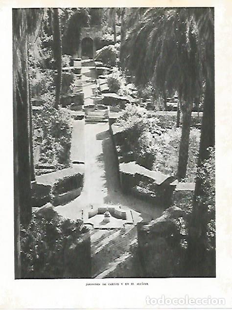 Postcards: LAMINA 10738: Jardines de Carlos V en el Alcazar de Sevilla - Jose Maria Peman. Fotografias de Ramon