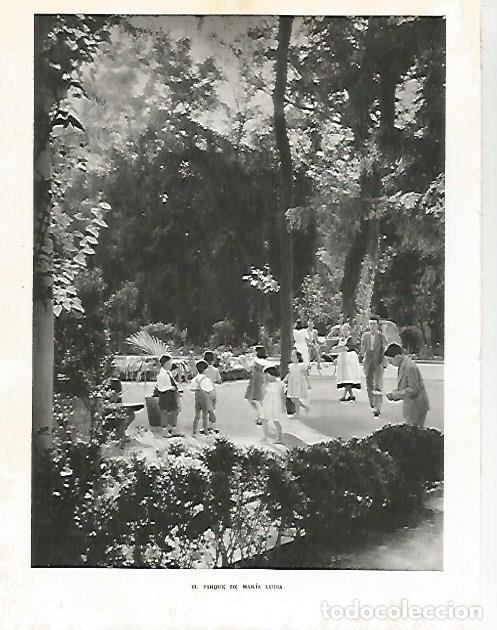 Cartoline: LAMINA 10743: Parque de Maria Luisa - Jose Maria Peman. Fotografias de Ramon Dimas