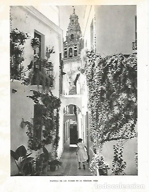 Postkarten: LAMINA 10773: Plazuela de las Flores en Cordoba - Jose Maria Peman. Fotografias de Ramon Dimas
