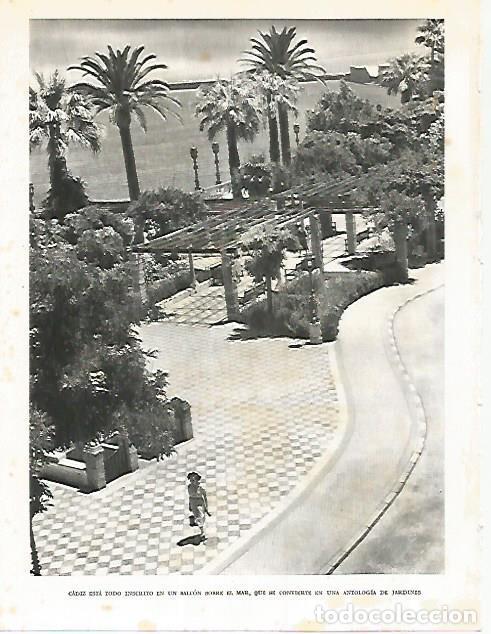 Postkarten: LAMINA 10825: Jardines de Cadiz - Jose Maria Peman. Fotografias de Ramon Dimas