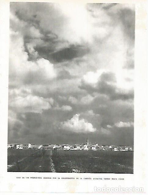 Postales: LAMINA 10808: Campi&ntilde;a de Andalucia - Jose Maria Peman. Fotografias de Ramon Dimas