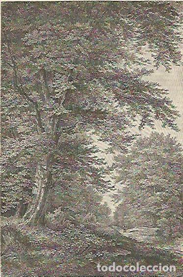 Postales: LAMINA ESPASA 4358: Carpe o Carpinus betulus - Varios Autores