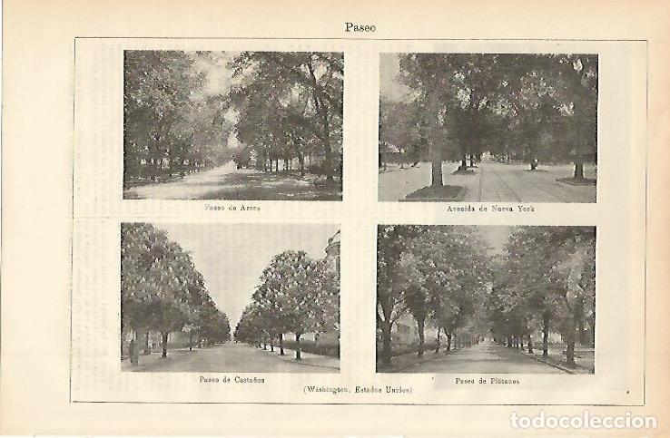 Postcards: LAMINA ESPASA 002323: Paseos de Washington Estados Unidos - Varios Autores