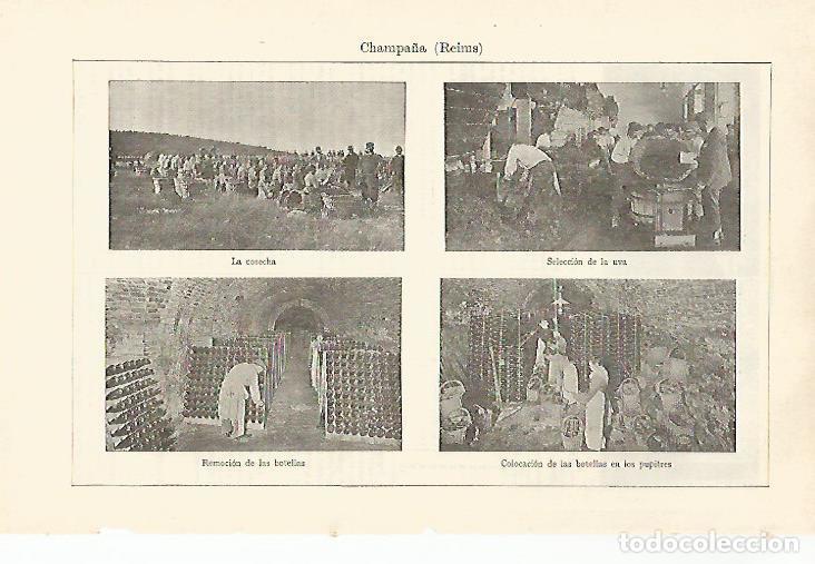 Cartoline: LAMINA ESPASA 29915: Cosecha y embotellado de champan en Reims - Varios