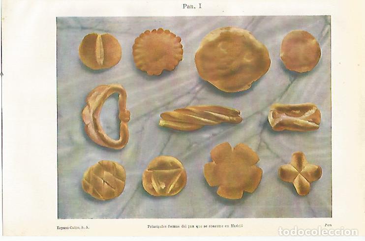 Postkarten: LAMINA ESPASA 23521: Tipos de pan de Madrid - Varios