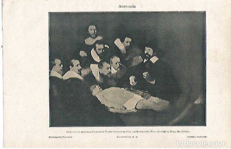 Postais: LAMINA ESPASA 23735: La leccion de anatomia por Rembrandt - Varios