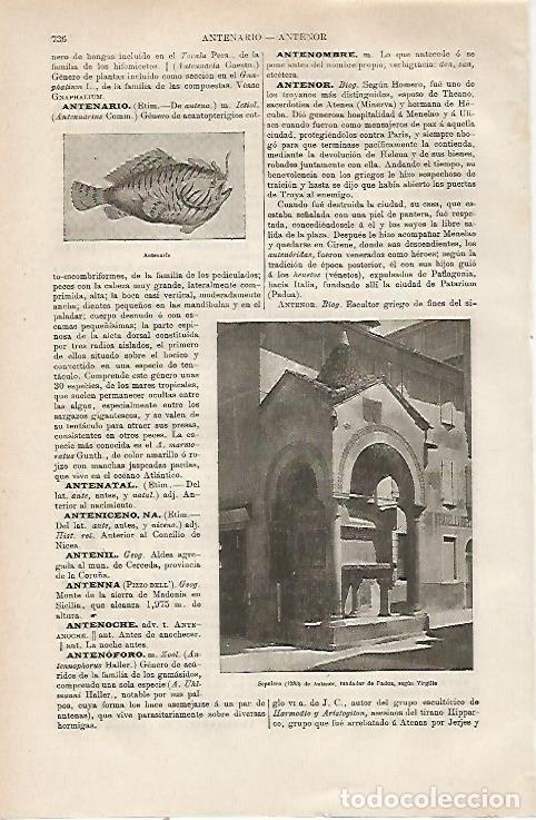 Postkarten: LAMINA ESPASA 23813: Sepulcro de Antenor segun Virgilio - Varios