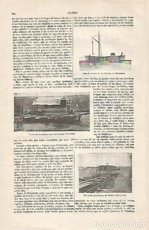 Postcards: LAMINA ESPASA 30484: Viveros de mejillones en el puerto de Barcelona y Tarragona - Varios