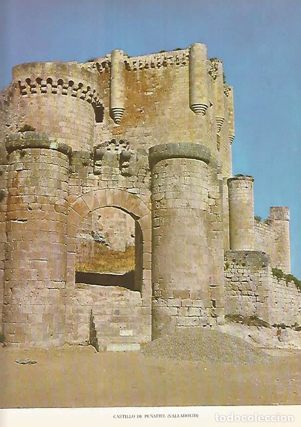 Cartoline: Lamina 12254: Castillo de Pe&ntilde;afiel Valladolid - Varios