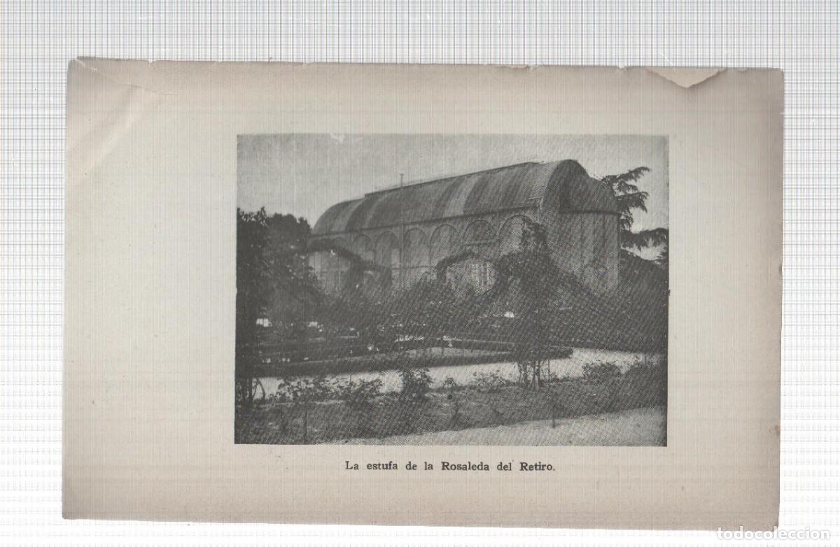 Postales: Lamina de la obra Don Jose de Salamanca: La estufa de la rosaleda del retiro en Madrid -