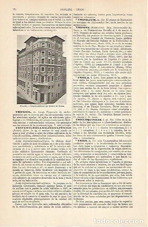 Postcards: LAMINA ESPASA 22414: Banco de Roma en Trieste - Varios