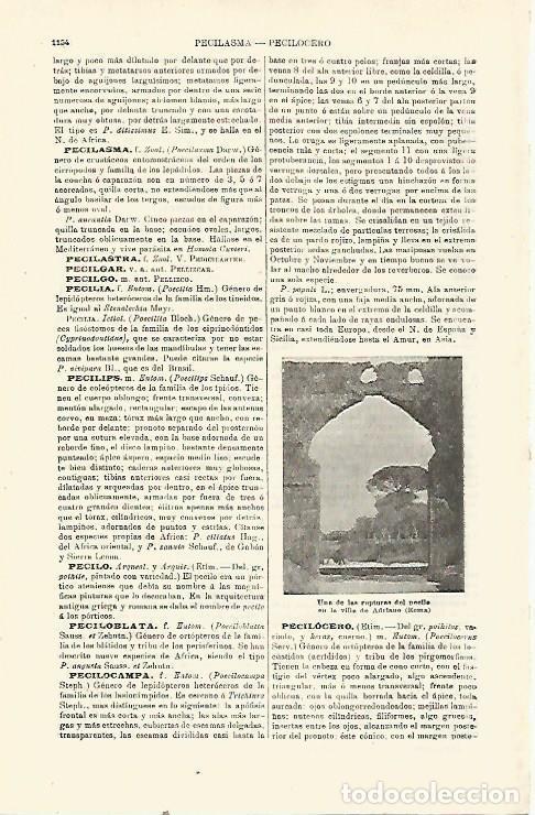 Postcards: LAMINA ESPASA 23889: Villa de Adriano en Roma - Varios