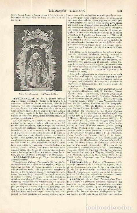 Postkarten: LAMINA ESPASA 13876: Virgen del Pino de Teror Gran Canaria - Varios