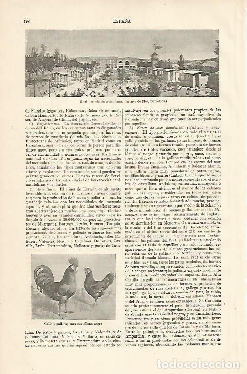 Cartes Postales: LAMINA ESPASA 10093: Real Escuela de Avicultura en Arenys de Mar Barcelona - Varios