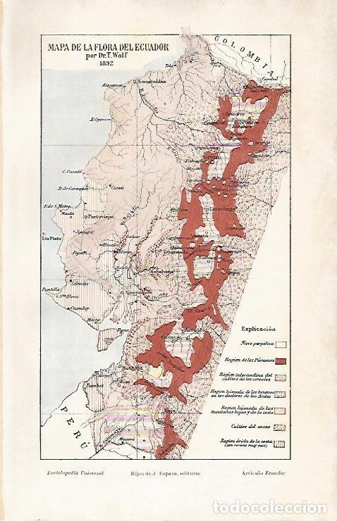 Cartoline: LAMINA ESPASA 3228: Mapa de la flora de Ecuador en 1892 - Varios Autores
