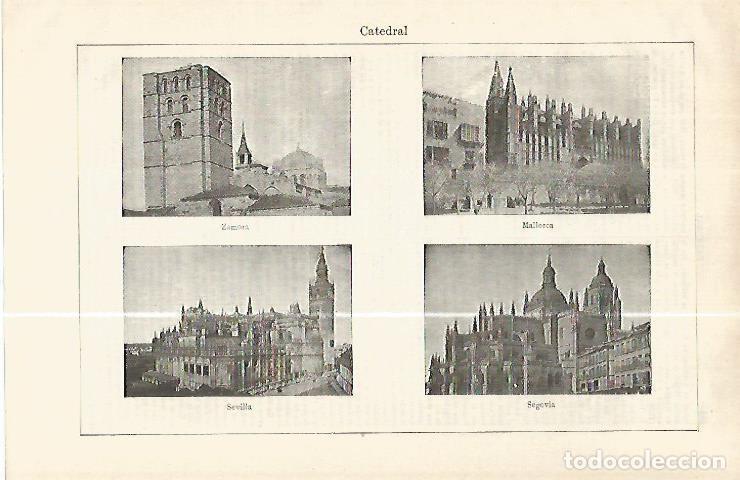 Cartoline: LAMINA ESPASA 32419: Catedral de Zamora, Mallorca, Sevilla y Segovia - Varios