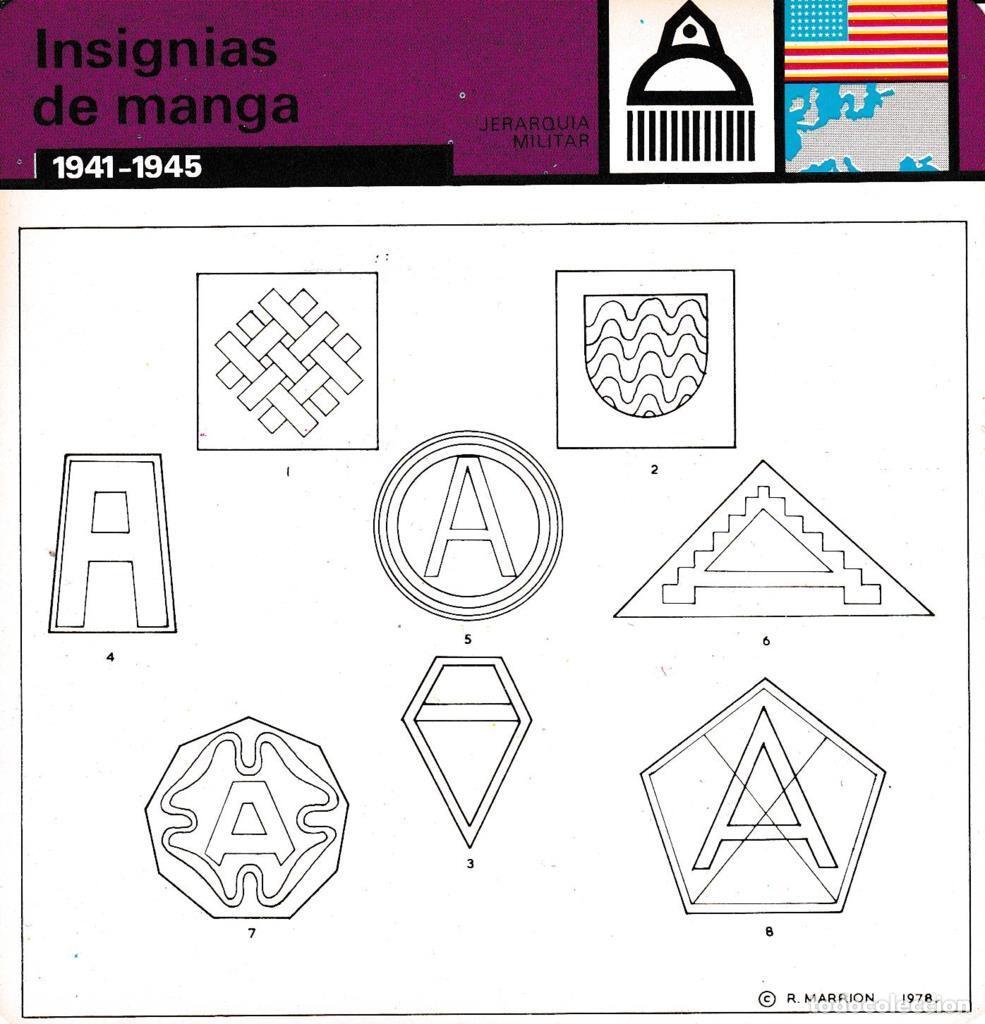 Cartoline: FICHA JERARQUIA MILITAR: INSIGNIAS DE MANGA. 1941-1945 - NULL