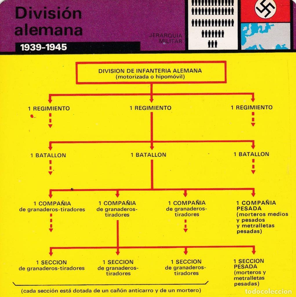 Cartes Postales: FICHA JERARQUIA MILITAR: DIVISION ALEMANA. 1939-1945 - NULL