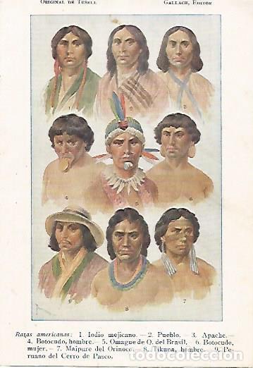 Postales: LAMINA 13763: Razas de America Central, dibujo de Tusell - Alfredo Opisso