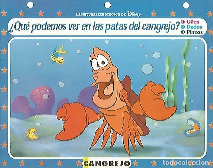 Postais: LAMINA 14070: Cangrejo. Secretos del mar con Ariel - Varios