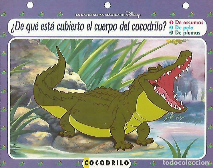 Postcards: LAMINA 14072: Cocodrilo. Secretos de las marismas con Barnardo y Bianca - Varios