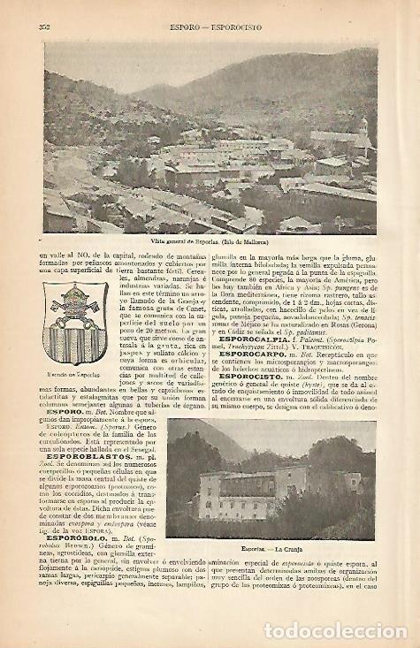 Cartoline: LAMINA ESPASA 7997: Vista general de Esporlas Mallorca - Varios