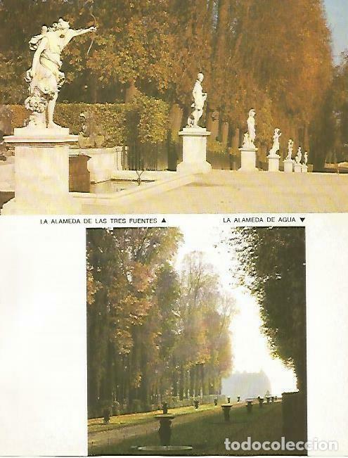 Postales: LAMINA 13907: Versalles. La Alameda de las Tres Fuentes y la Alameda de agua - Pierre Lemoine