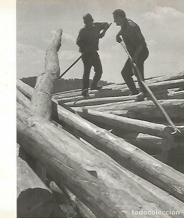 Postales: LAMINA 13986: Bajada de madera en los rios del Pirineo - Josep Pla