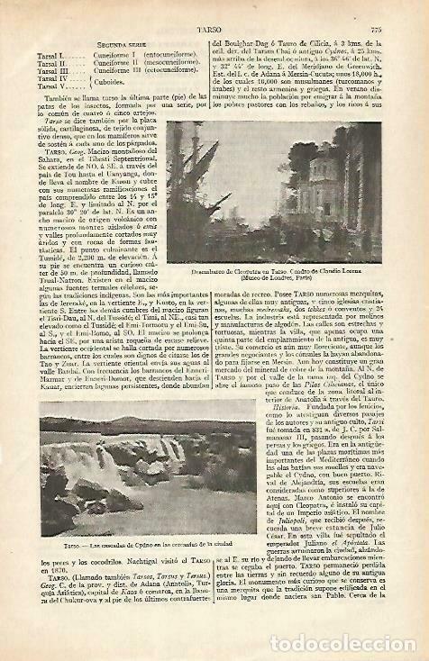 Postales: LAMINA ESPASA 33487: Desembarco de Cleopatra en Tarso, por Lorena - Varios