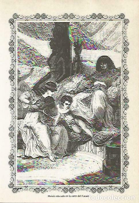 Postais: LAMINA 14488: Moises en la corte del faraon - VVAA