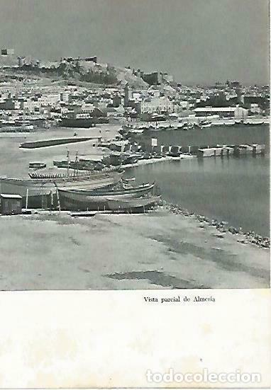 Cartoline: LAMINA 14382: Vista parcial de Almeria - Jose Maria Souviron
