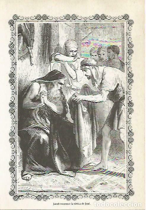 Cartoline: LAMINA 14481: Jacob reconoce la tunica de Jose - VVAA