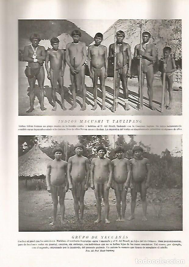 Postkarten: LAMINA 15611: Indios macushi, taulipang y yecuanas - Director: Pedro Bosch Gimpera
