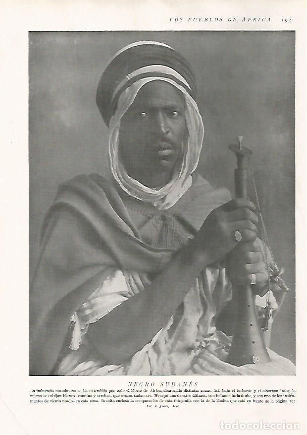 Postales: LAMINA 15646: Hombre del Sudan - Director: Pedro Bosch Gimpera