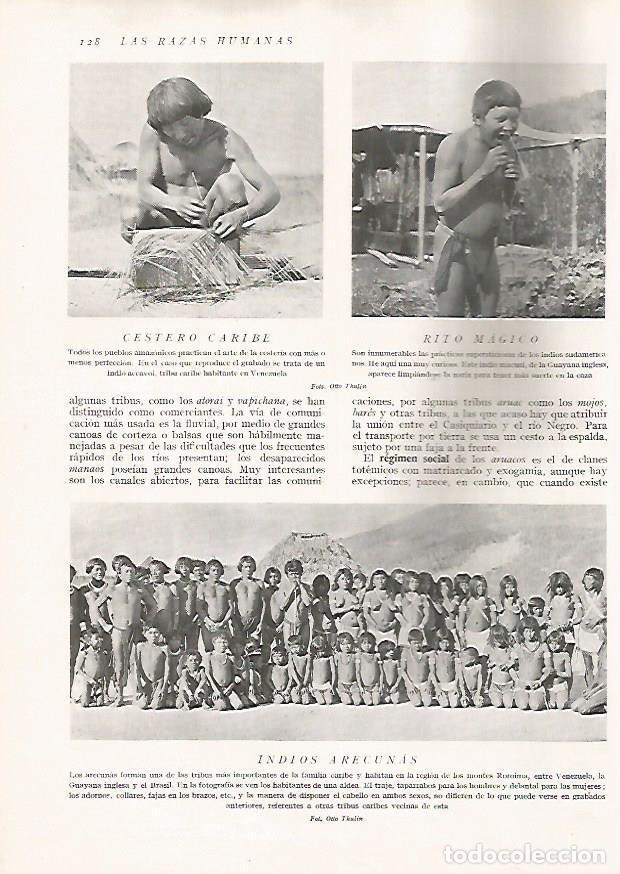 Postcards: LAMINA 15609: Cestero Caribe, rito magico macusi e indios arecunas - Director: Pedro Bosch Gimpera