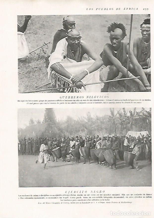 Postales: LAMINA 15688: Guerreros del Nilo y ejercito - Director: Pedro Bosch Gimpera