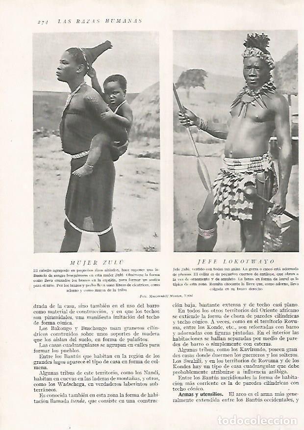 Postcards: LAMINA 15701: Jefe Lokotwayo y mujer zulu - Director: Pedro Bosch Gimpera