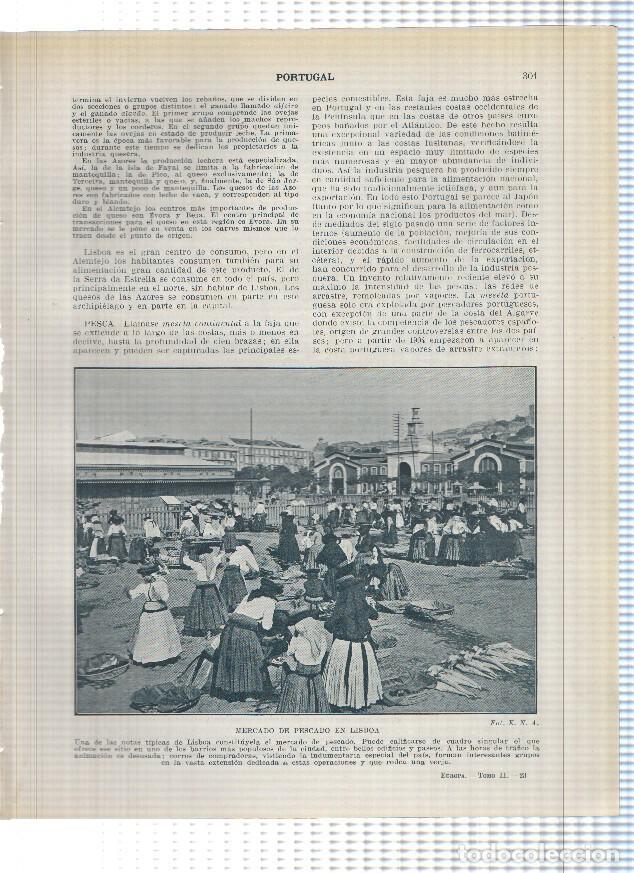 Postkarten: Lamina/sheet/feuille numerada 301/302: Mercado de pescado en Lisboa, Recogiendo corcho en la provinc
