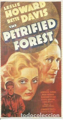 Postkarten: POSTAL A0745: The petrified forest