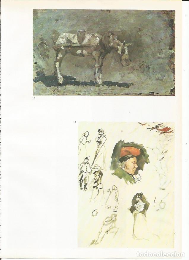 Cartoline: LAMINA 19350: Mula y Catalan con barretina y otros apuntes - Josep Palau i Fabre