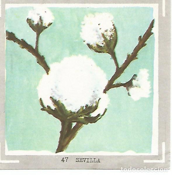 Postkarten: CROMO no 47. Sevilla - Varios